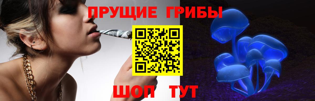 Галлюциногенные грибы Magic Shrooms  Галлюциногенные грибы Magic Shrooms  Вход с VPN  Армавир 